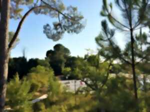 photo Relais nature - Que nous racontent les fossiles