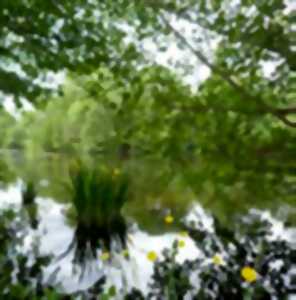 photo Au fil de l’Eau