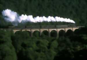 photo Train touristique à vapeur : Circuit des Gorges de la Vienne - 6 août