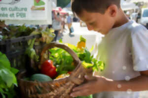 photo Marché d'été à La Chapelle Saint Géraud