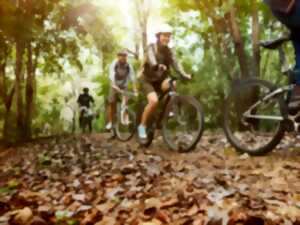 photo Les Mardis de Cap 33 : VTT/Renforcement musculaire