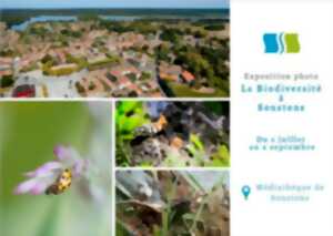 photo Exposition 
