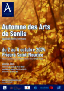 photo Automne des Arts de Senlis