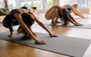 photo Les Mardis de Cap 33 : Les séances d'approfondissement : Yengar Yoga