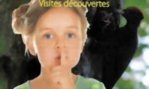 photo Les secrets d'été - visite de l'atelier de sculptures sur bois Fuste et sculpture