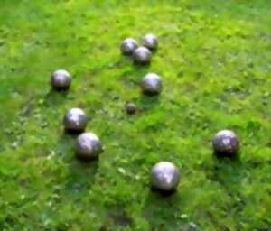 photo Quine à Cuzac