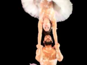 photo Le Cirque d'Ukraine sur Glace