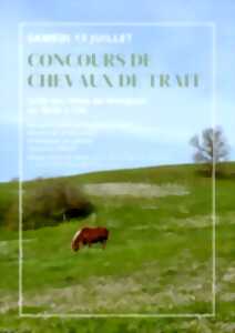 photo Concours de chevaux de trait