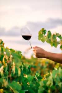 photo Soirées Vigneronnes au Domaine de Lasfargues