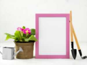 photo Vide-déco