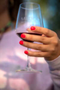 photo Foire aux vins AOC Médoc et Haut Médoc