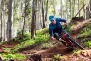 photo Activité VTT encadrée à la Base Sports Loisirs Vézère
