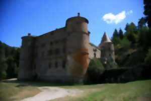 photo BALADES COMMENTÉES AU CHATEAU DE ROQUEDOLS
