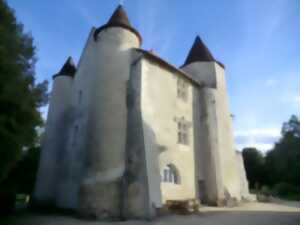 photo Visite des extérieurs du château de Rouvray