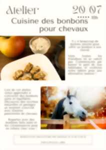 Cuisine des bonbons pour chevaux