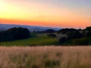 photo Randonnée Cheval au crépuscule dans le Clunisois