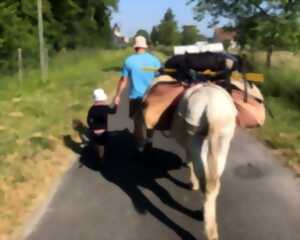 photo Randonnée accompagnée avec les ânes
