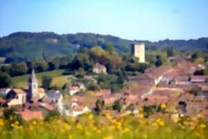 photo Journées du patrimoine : visite guidée 