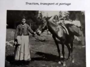 photo Exposition - Balade dans un grenier - L'éloge du désordre et de la mémoire
