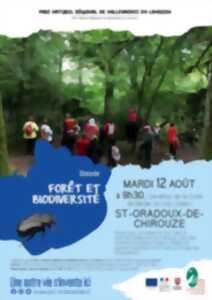 photo Forêt et biodiversité