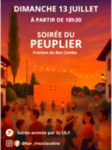 photo Fête de la musique au Bas Cambo