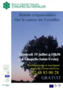 photo Découverte de la flore du Verniller