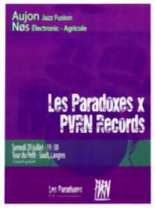 photo PARADOXES FESTIVAL
