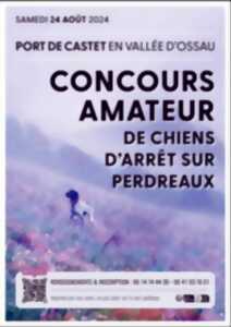 photo Concours amateur de chiens de troupeaux sur brebis