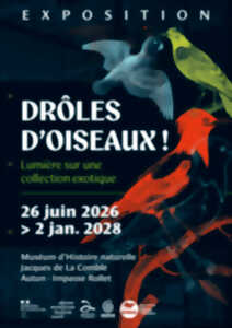 photo Exposition 