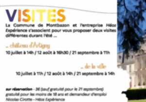 Visites Guidées de la Ville de Montbazon