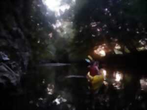 photo Balade nocturne en canoë sur l'Auvézère