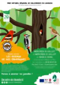 photo CLUB DES LOUTRONS : Les oiseaux de nos campagnes