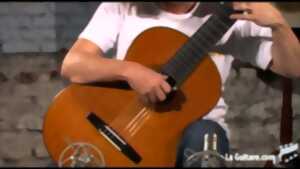 photo Cycle guitare