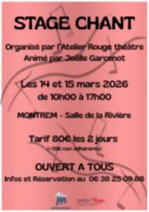 photo Stage de Chant