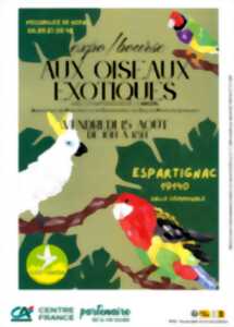 photo Expo / bourse d'oiseaux exotiques