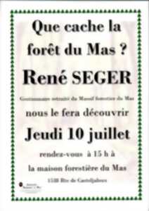 photo Que cache la forêt du Mas ?