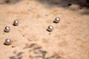 photo Concours de Pétanque semi-nocturne