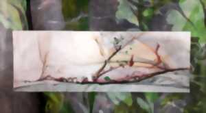 photo Exposition de peintures de Marie-José Felgines