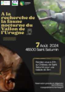 photo RANDONNÉE NATURALISTE