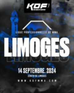 photo Raiden MMA - Limoges