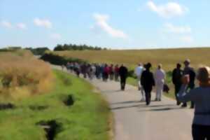 photo Randonnée pédestre : Sentier des moulins