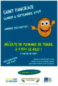 photo Récolte de pommes de terre