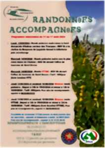 photo Randonnées pédestres accompagnées