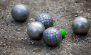 photo Challenge de pétanque Pascal Aninat