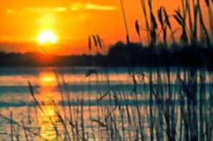 photo Vide-Grenier du Lac