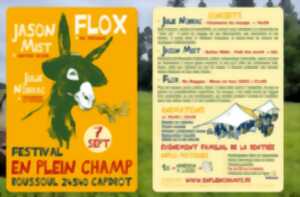 Festival en plein champ