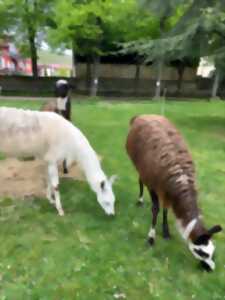 photo Ferme pédagogique