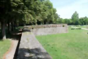 photo Animation sportive : Cardio-training