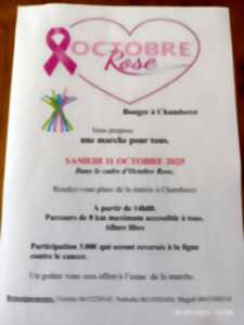 photo Bouger à Chamberet marche pour Octobre Rose