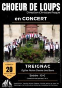 photo Chœur de Loups en concert